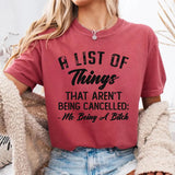 A List Of Things T-Shirt
