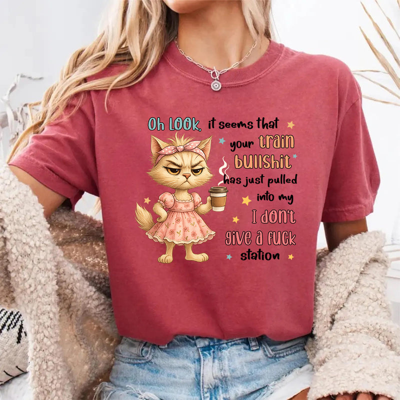 Oh Look It Seems That Your Train Bullshit Has Just Pulled T-Shirt
