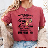 I Never Dreamed I'd Be This Crazy Old Grandma T-Shirt