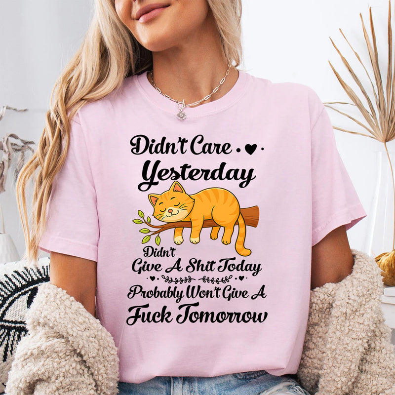 Didn't Care Yesterday Don't Give A Shit Today T-Shirt
