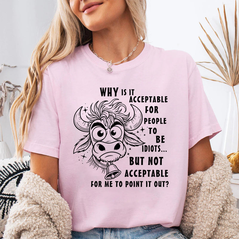 Why Is It Acceptable for People to Be Idiots T-Shirt